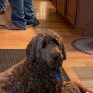 Meet your Posher, Andrea